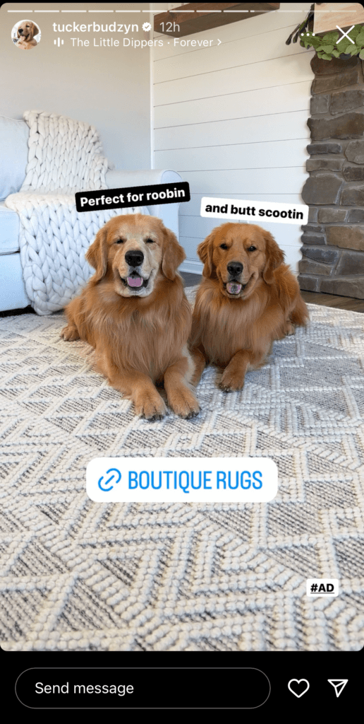 Example of an instagram ad from dog influencers