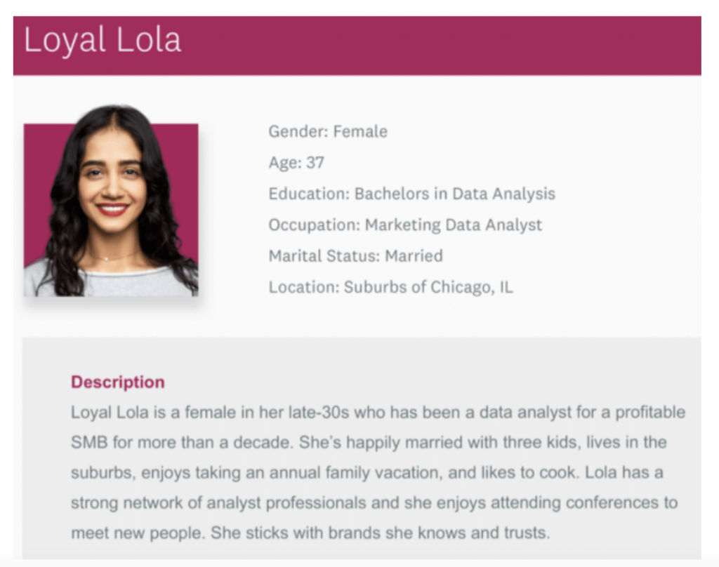 Audience Persona Example